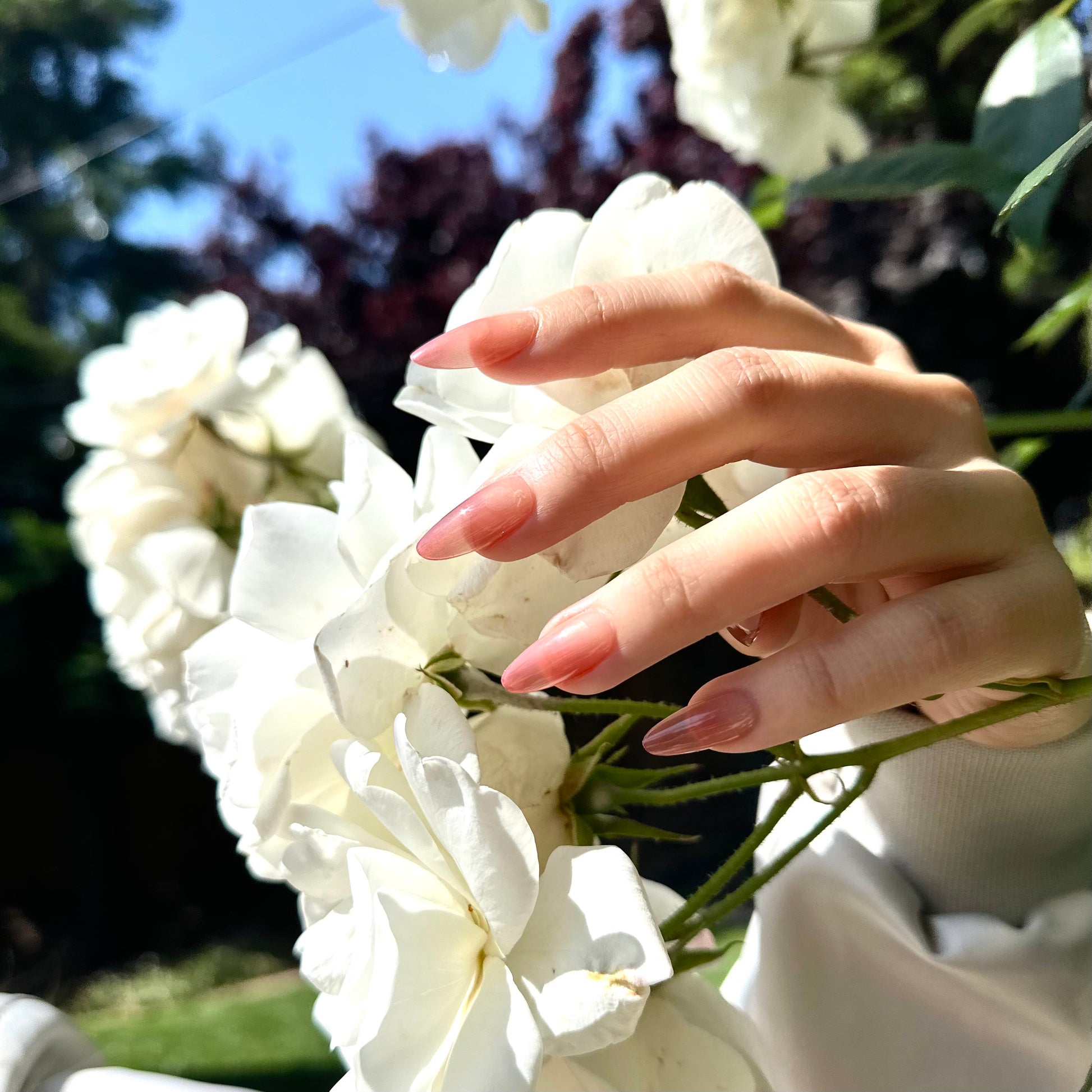 Blush Petal Press-On Nails