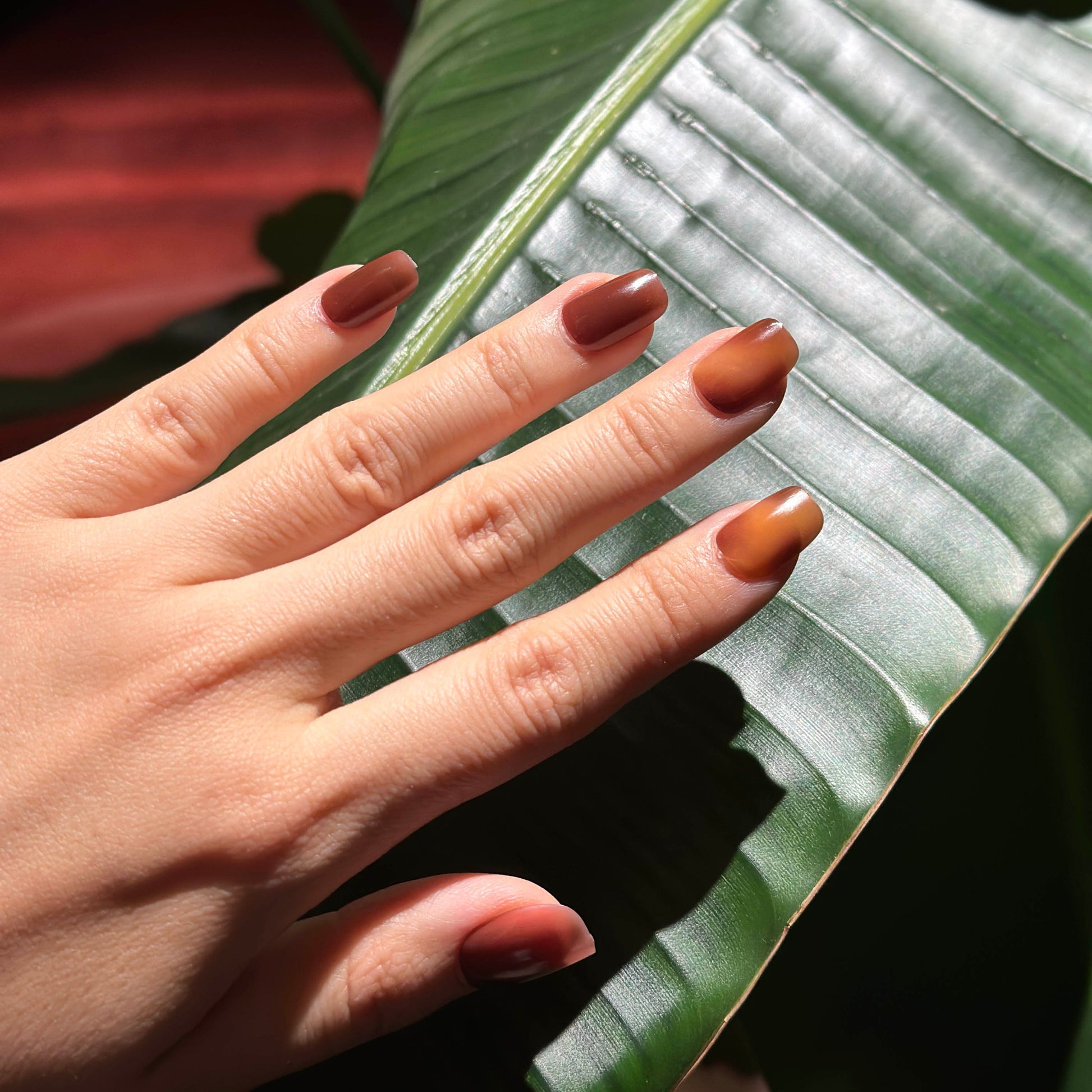 Golden Amber Press-On Nails